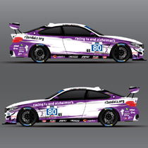 BWR_M4_80-Temp-210w